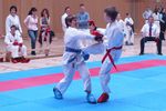 Karate Landesmeisterschaft 2487194