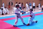 Karate Landesmeisterschaft 2487195