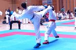 Karate Landesmeisterschaft 2487197