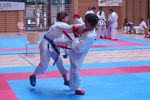 Karate Landesmeisterschaft 2487202