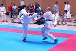 Karate Landesmeisterschaft 2487203