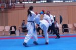 Karate Landesmeisterschaft 2487207