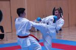 Karate Landesmeisterschaft 2487212