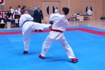 Karate Landesmeisterschaft 2487215