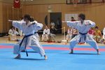 Karate Landesmeisterschaft 2487217