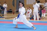 Karate Landesmeisterschaft 2487218