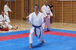 Karate Landesmeisterschaft 2487223