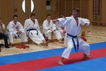 Karate Landesmeisterschaft 2487229