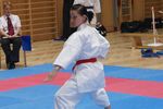 Karate Landesmeisterschaft 2487230