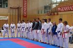 Karate Landesmeisterschaft 2487234