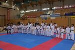 Karate Landesmeisterschaft 2487237