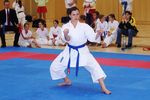 Karate Landesmeisterschaft 2487246