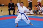 Karate Landesmeisterschaft 2487247