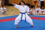 Karate Landesmeisterschaft 2487248