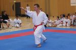 Karate Landesmeisterschaft 2487252