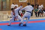 Karate Landesmeisterschaft 2487260