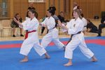 Karate Landesmeisterschaft 2487262