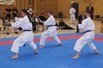 Karate Landesmeisterschaft 2487264