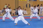 Karate Landesmeisterschaft 2487265