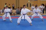 Karate Landesmeisterschaft 2487266