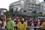 24. Vienna City Marathon 2513316