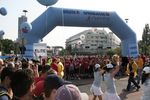 24. Vienna City Marathon 2513325