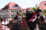 Maibaum aufstellen Anthering 2527088