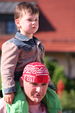 Maibaum aufstellen Anthering 2527147
