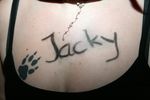 Jacky Night 2534808