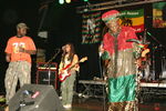 Spring Reggae Festival 2569808