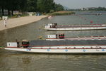 ONE Drachenboot Cup 2007 2643389