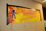 Die Coyote Show 2680145