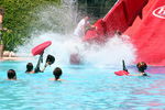 Summer Splash - Tag 2774710