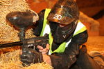 PaintBall - BaseField 2834669