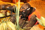 PaintBall - BaseField 2834689