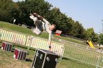 Energy in The Park - Rauch Parkour 2847267