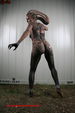 World Bodypainting Festival 2856924