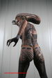 World Bodypainting Festival 2856925