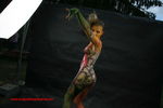 World Bodypainting Festival 2857241