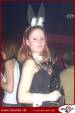 SZENE1.BUNNY.PARTY 288585