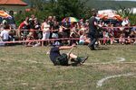 11. Highland Games 2904365