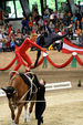 European Vaulting Championships 2007 2927510