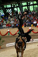 European Vaulting Championships 2007 2927513