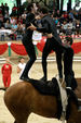 European Vaulting Championships 2007 2927515