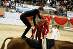 European Vaulting Championships 2007 2927517