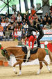 European Vaulting Championships 2007 2927518