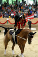 European Vaulting Championships 2007 2927521