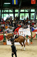 European Vaulting Championships 2007 2927522