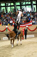 European Vaulting Championships 2007 2927527