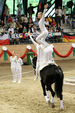 European Vaulting Championships 2007 2927546